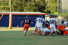 Enlarge photo 80