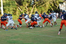 Enlarge photo 81