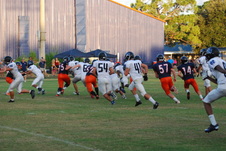 Enlarge photo 194