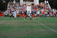 Enlarge photo 206