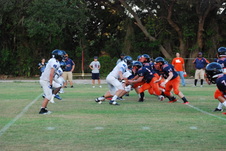 Enlarge photo 213