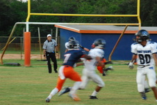 Enlarge photo 222