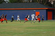 Enlarge photo 230