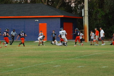 Enlarge photo 228