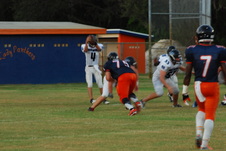 Enlarge photo 236