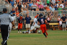 Enlarge photo 239