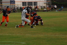Enlarge photo 272