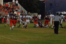 Enlarge photo 275