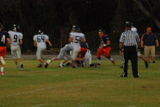 Enlarge photo 278
