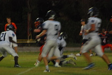 Enlarge photo 283