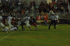 Enlarge photo 445