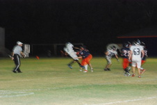 Enlarge photo 452
