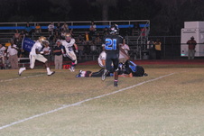 Enlarge photo 55