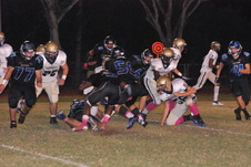 Enlarge photo 169