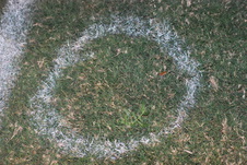 Enlarge photo 231