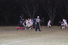 Enlarge photo 299