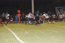 Enlarge photo 91