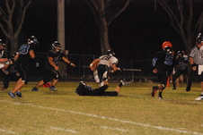 Enlarge photo 103