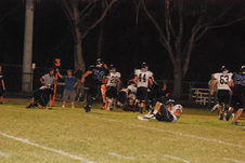 Enlarge photo 118