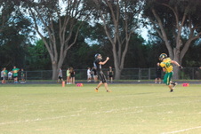 Enlarge photo 156