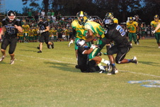 Enlarge photo 167