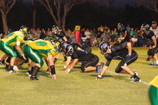 Enlarge photo 202