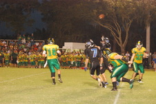 Enlarge photo 203