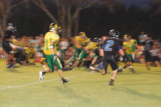 Enlarge photo 207