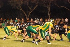Enlarge photo 219