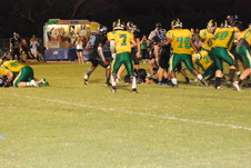 Enlarge photo 236