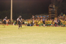 Enlarge photo 244