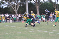 Enlarge photo 103