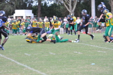 Enlarge photo 104