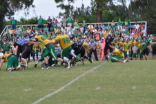 Enlarge photo 110