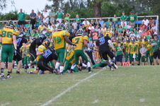Enlarge photo 112