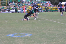 Enlarge photo 113