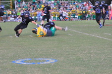 Enlarge photo 114