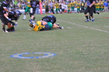 Enlarge photo 115