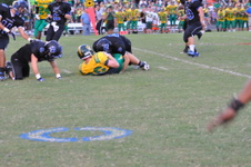 Enlarge photo 116