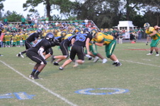 Enlarge photo 117