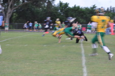 Enlarge photo 121
