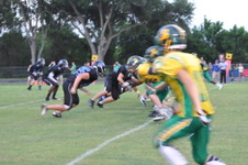 Enlarge photo 122