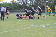 Enlarge photo 127