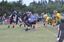 Enlarge photo 135