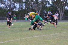 Enlarge photo 137