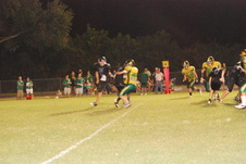 Enlarge photo 279