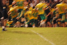 Enlarge photo 313