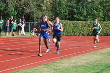 Enlarge photo 61