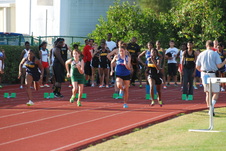Enlarge photo 110