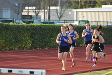 Enlarge photo 133